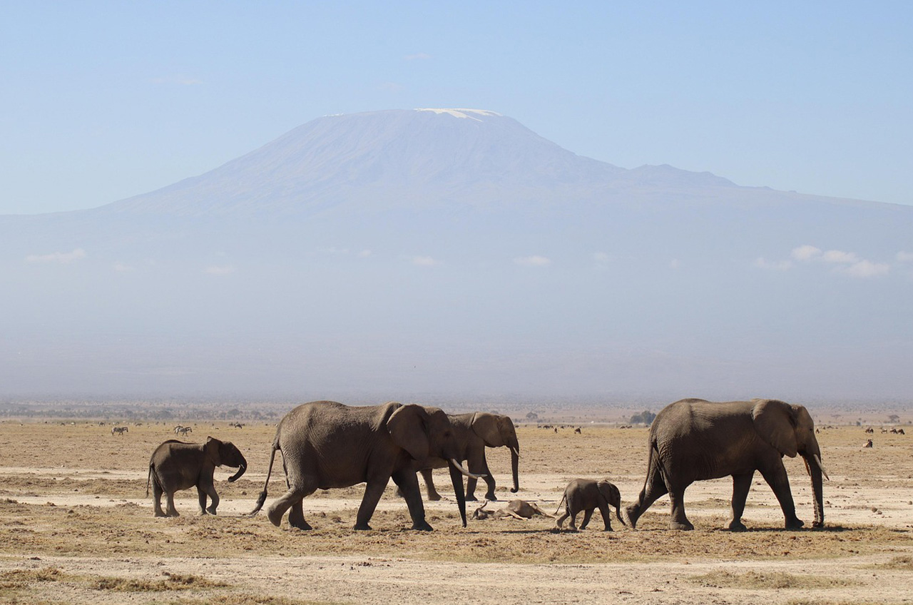 Kilimanjaro Trekking