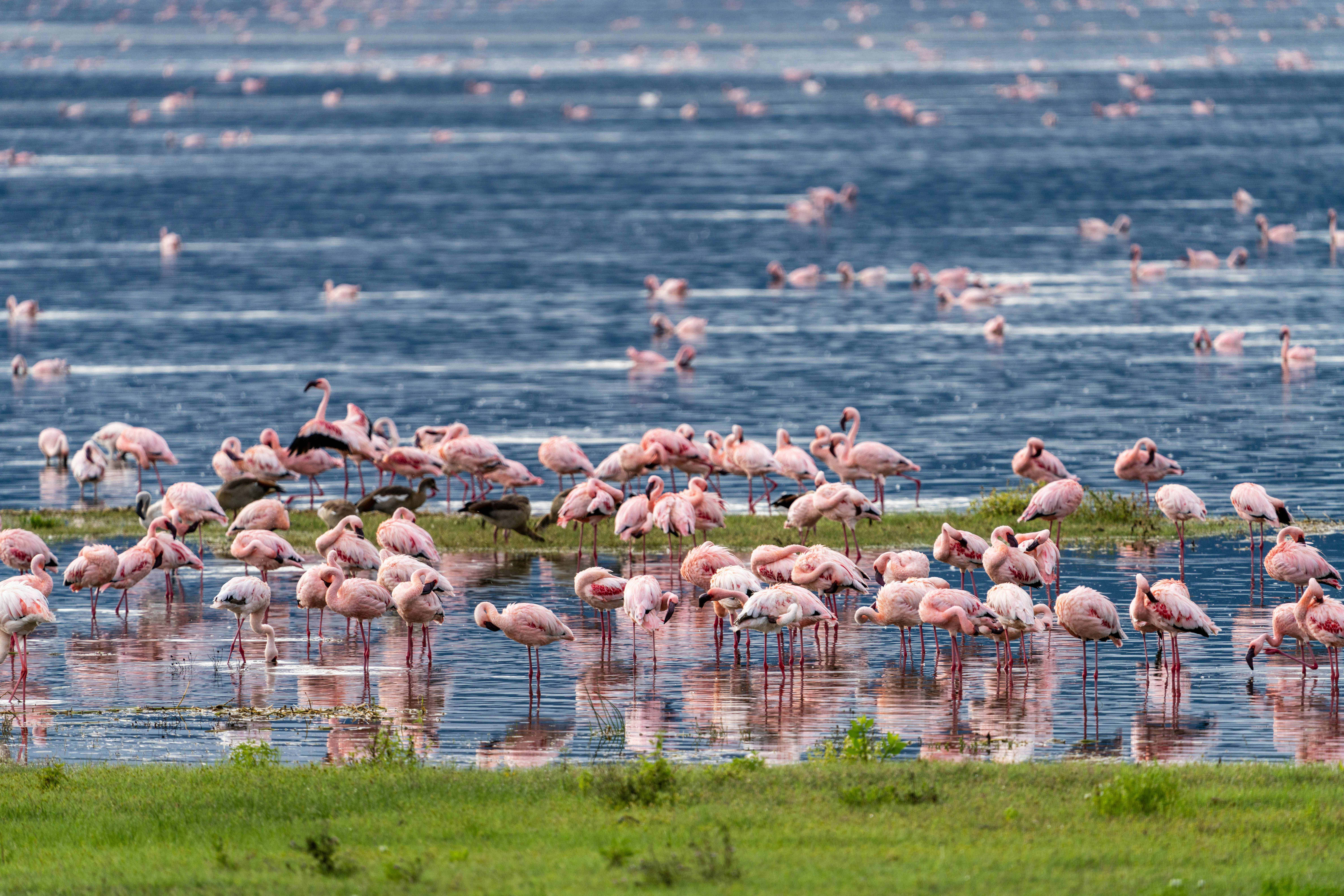 Volcanic Lake Natron Tanzania
