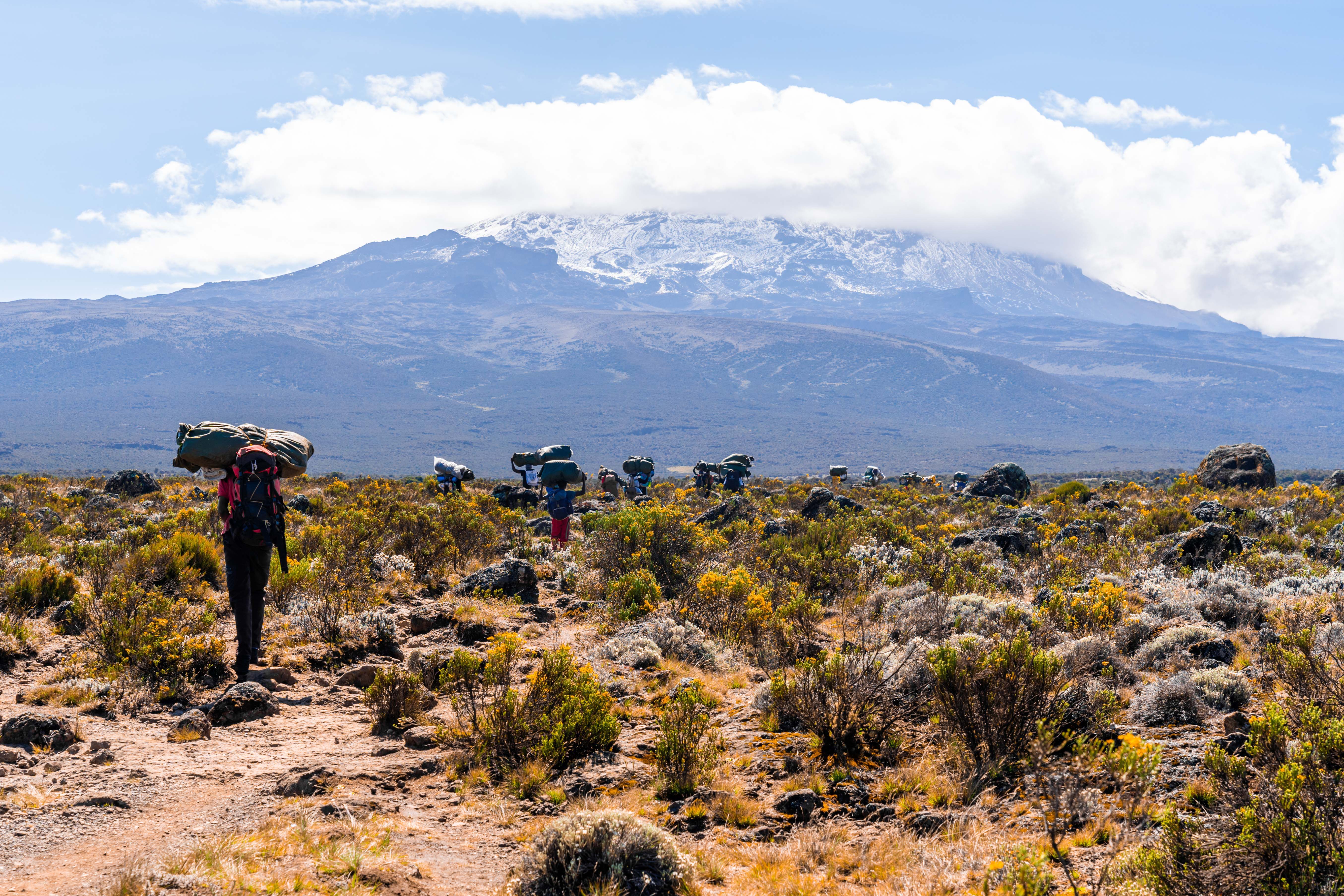 8-Day Mount Kilimanjaro Acclimatization Hike: The Machame Route