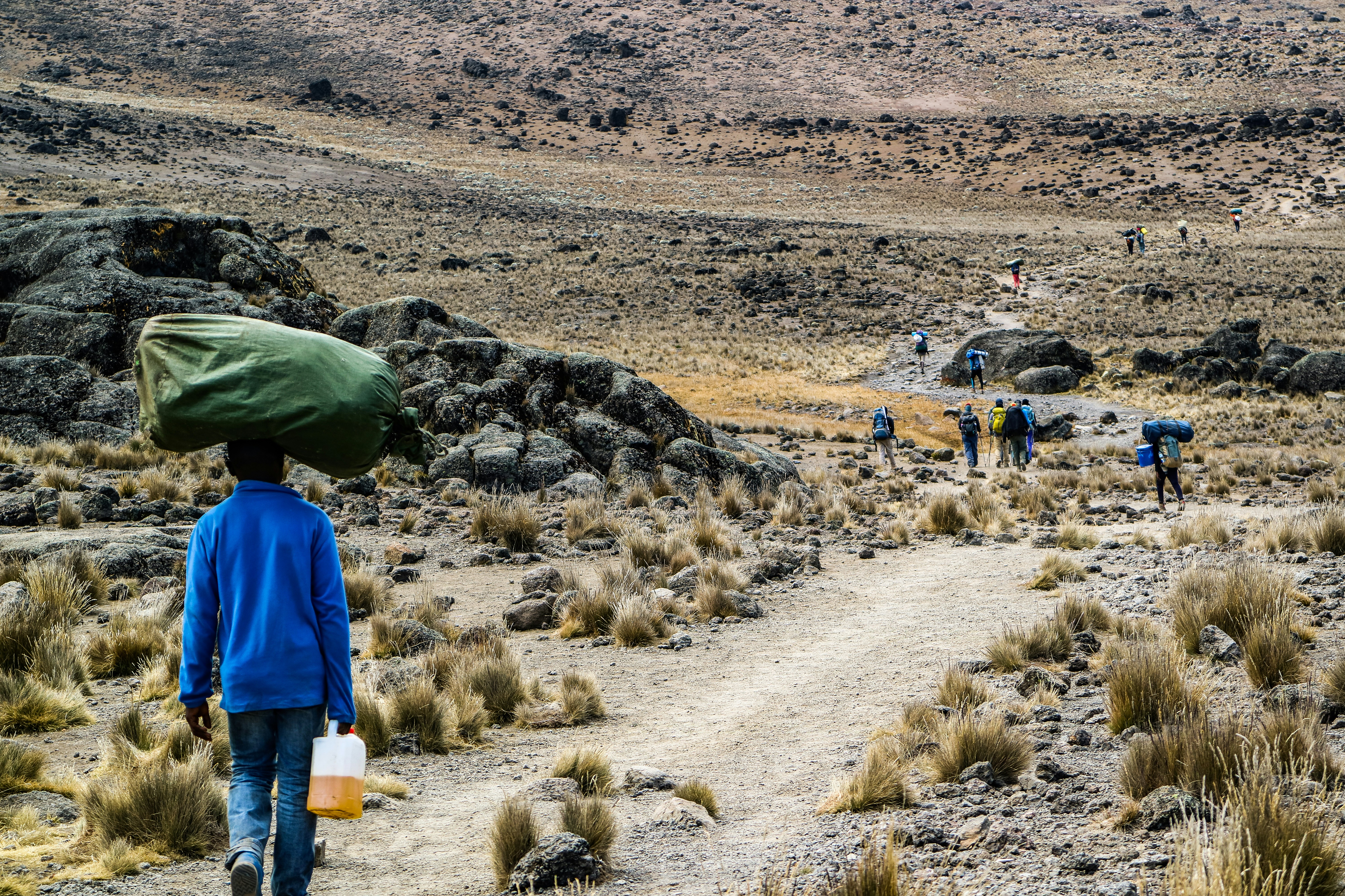 Mount Kilimanjaro wildlife