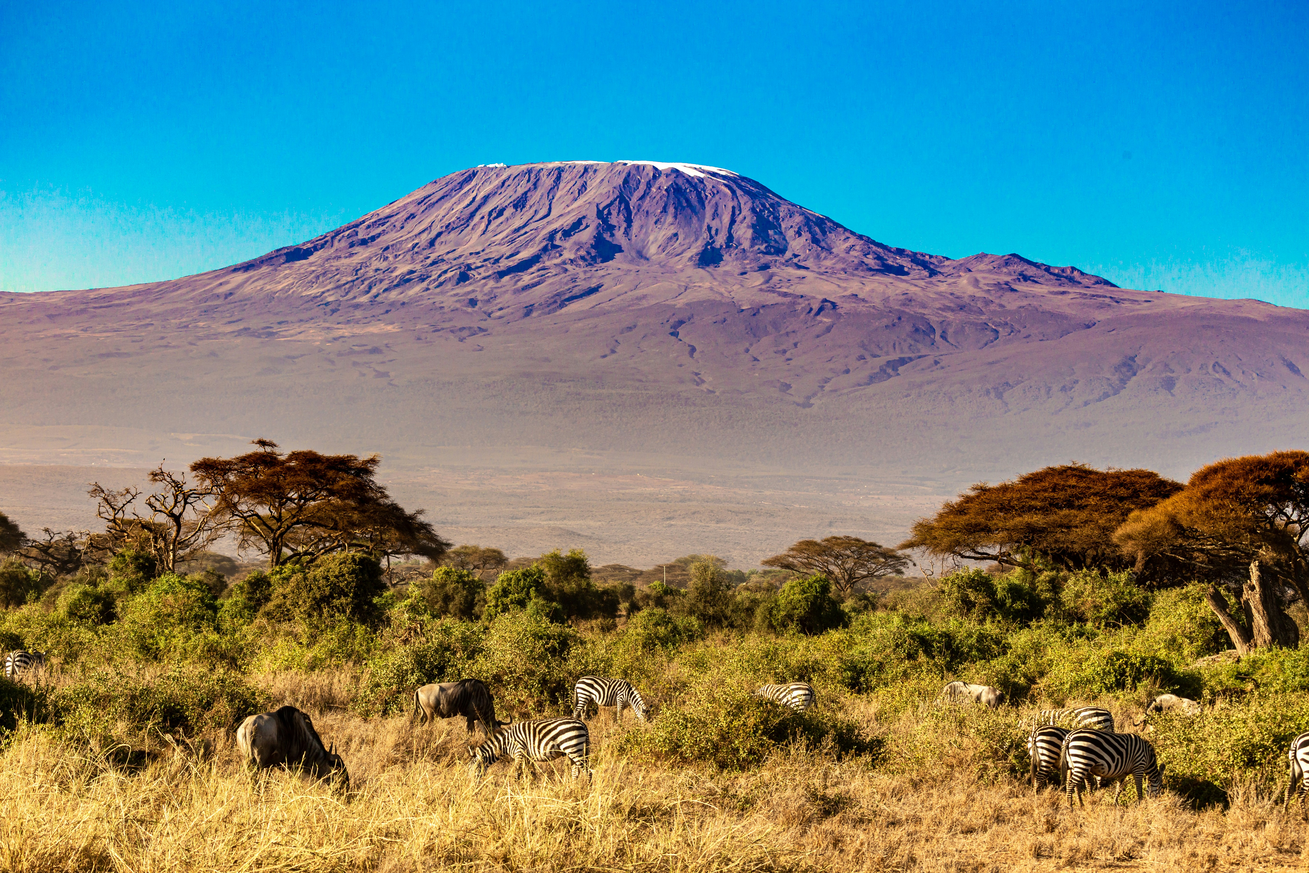 Kilimanjaro views from Mount Meru