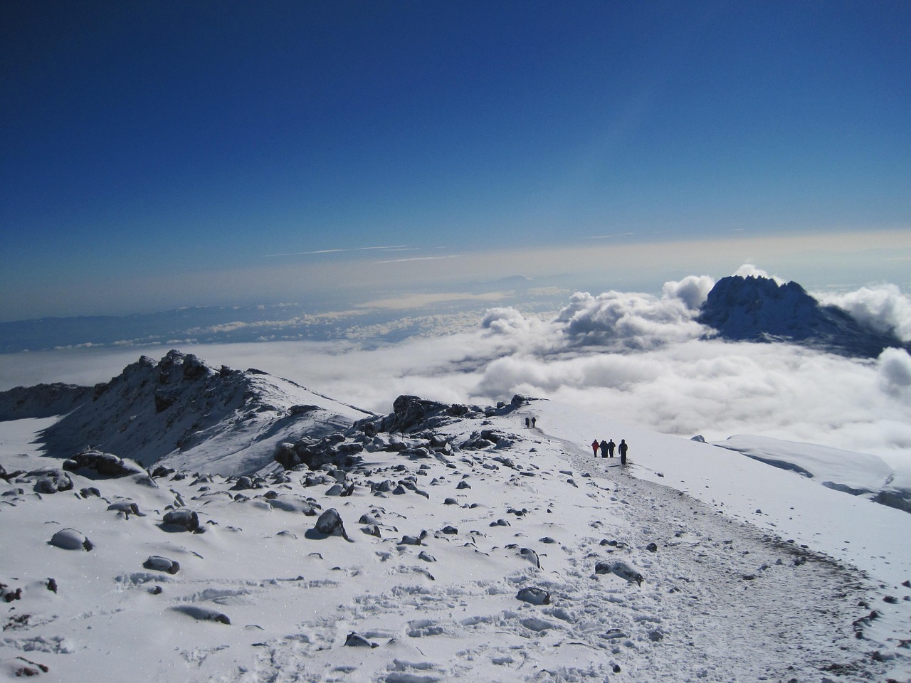 8-Day Mount Kilimanjaro Wilderness Masterpiece: The Lemosho Route Classic