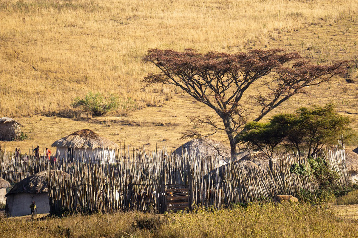 Hadzabe tribe cultural encounter