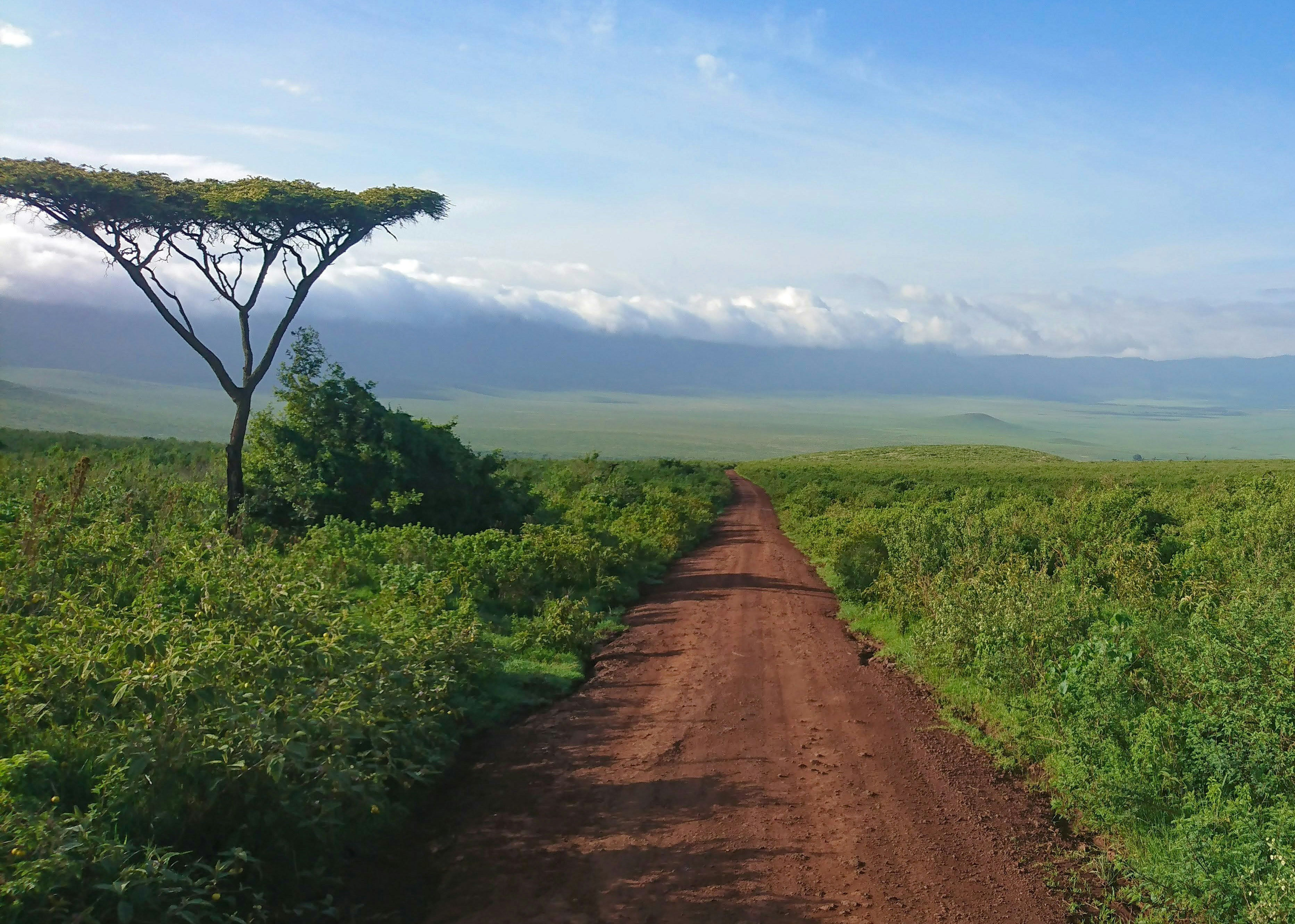 Ngorongoro crater road Tanzania