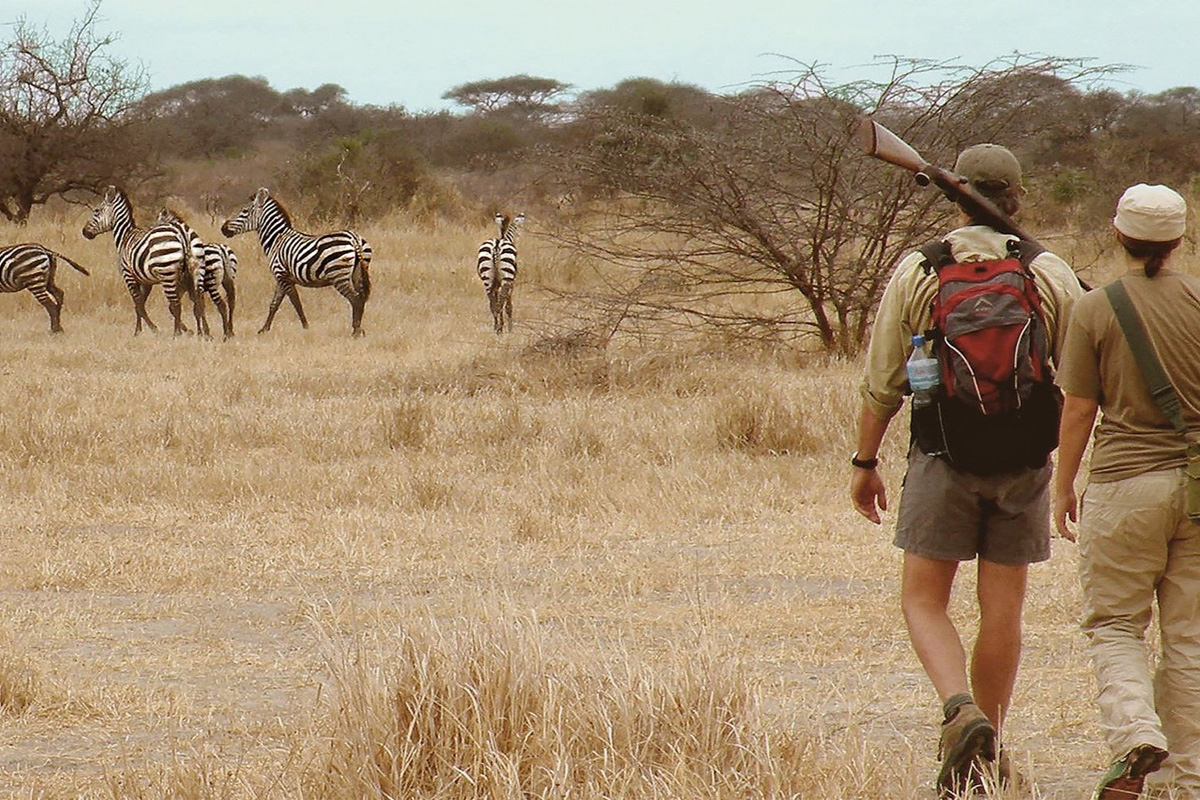 Walking Safari