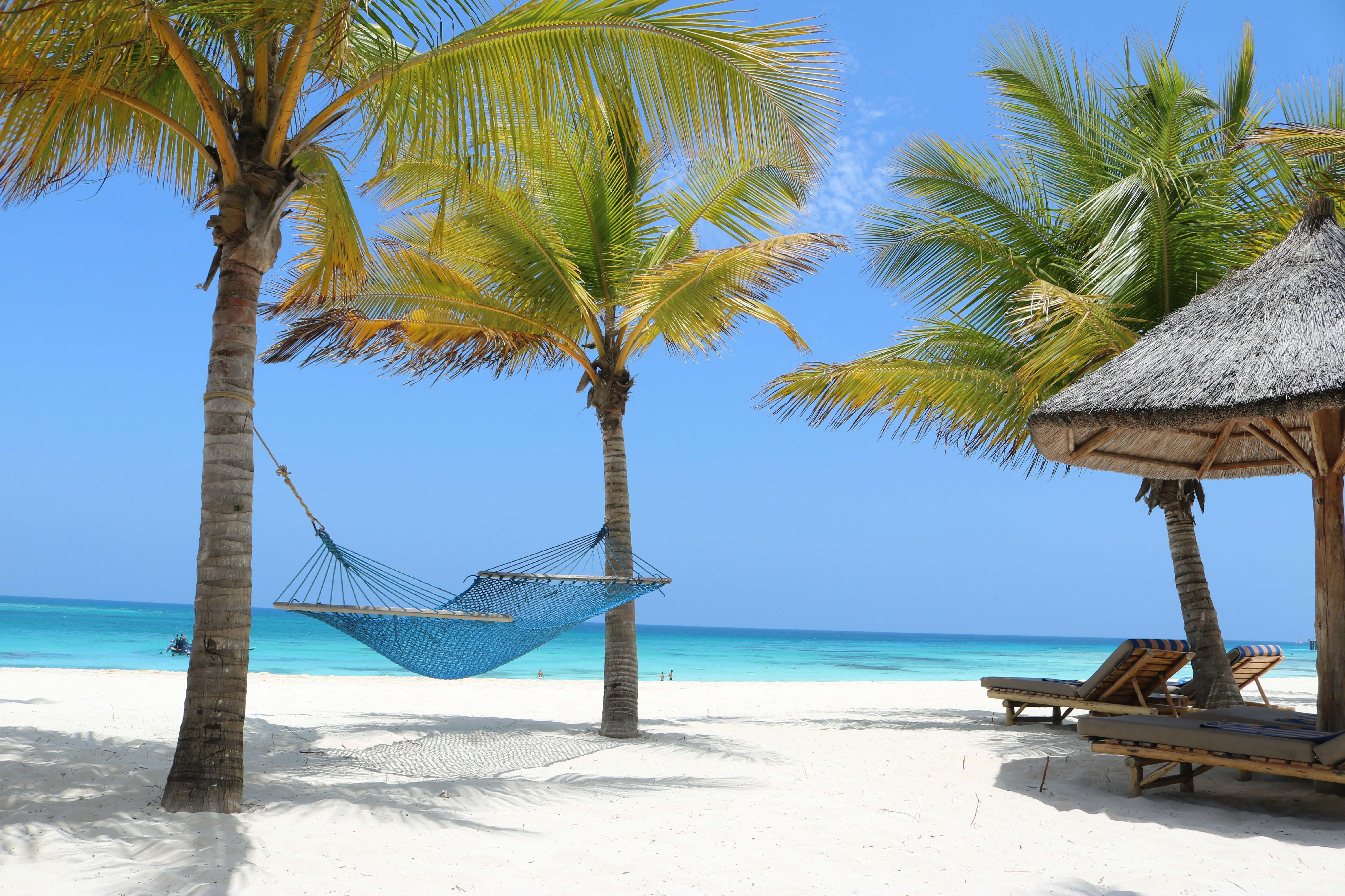 7-Day Honeymooners Comfort Safari